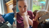 Hoe een baby of peuter te spenen die niet wil stoppen?